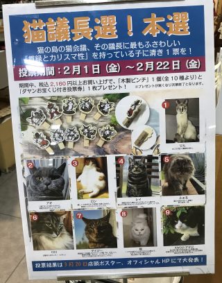 猫会議