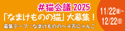 #ネコ会議2025 「なまけものの猫」大募集！ 11月22日（金）- 12月22日（日）